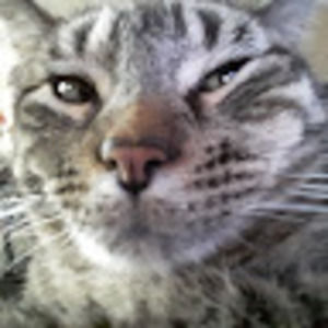 Meet your Posher, Mirandy